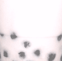 0103.gif