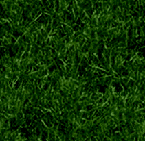 0122.gif
