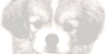 0150.gif