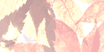 0172.gif