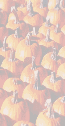 0177.gif