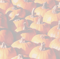 0178.gif