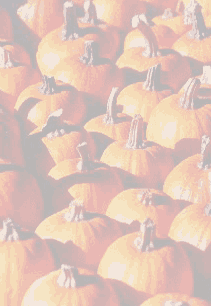 0179.gif