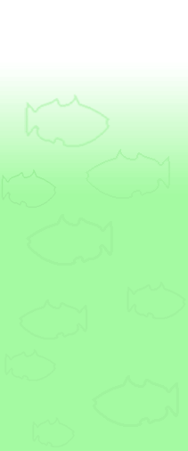 0190.gif