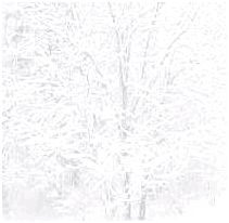 0214.gif