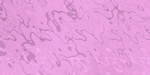 080.gif