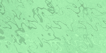 081.gif